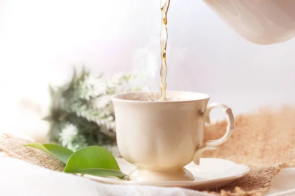 Detailní záběr nalitím horký jasmínový čaj v šálku bílého čaje, čaje odpuštění — Stock fotografie