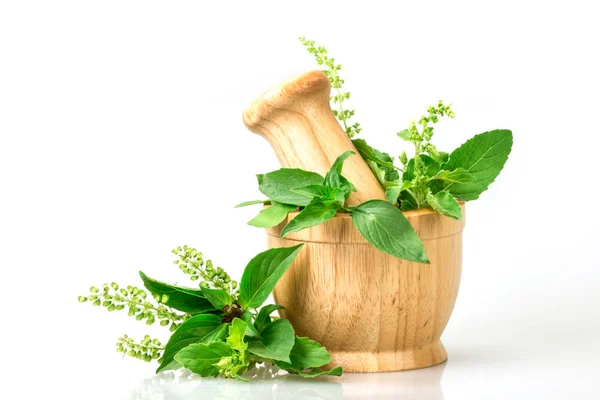 Las hojas Sagradas de albahaca con la flor en el mortero de madera sobre blanco bac — Foto de Stock