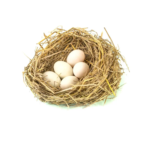 Çalı çırpı ile beyaz yumurta yuva — Stok fotoğraf
