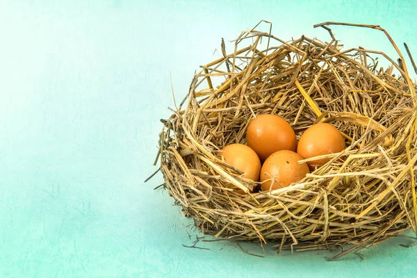 잔 가지에 갈색 계란 중첩 — 스톡 사진