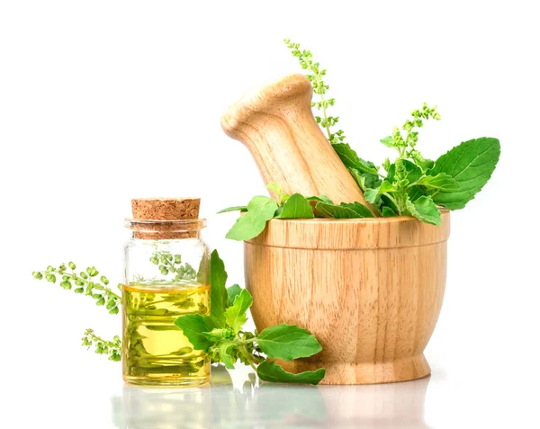 Albahaca en mortero de madera con aceite esencial, hierbas alternativas — Foto de Stock