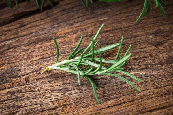 Fresh green Rosemary bound on a wooden board