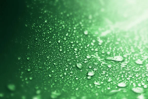 Close up gocce d'acqua piovana sulla superficie spugna verde come ba astratta — Foto Stock