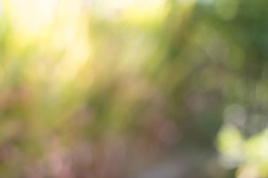 Soyut retro açık yeşil renkli