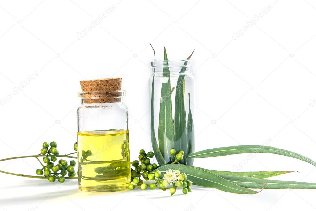 Eucalyptus essential oils in glass bottle ,oganic herbal aromath
