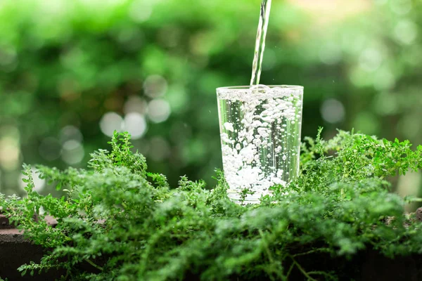 Un vaso de agua fresca sobre fondo verde natural —  Fotos de Stock