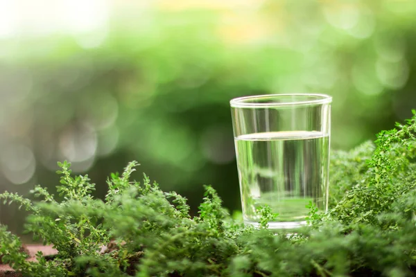 doğal yeşil zemin üzerine serin temiz su