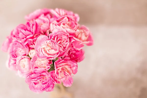 The Fresh pink carnation flower on stone plate background — Stock Photo, Image