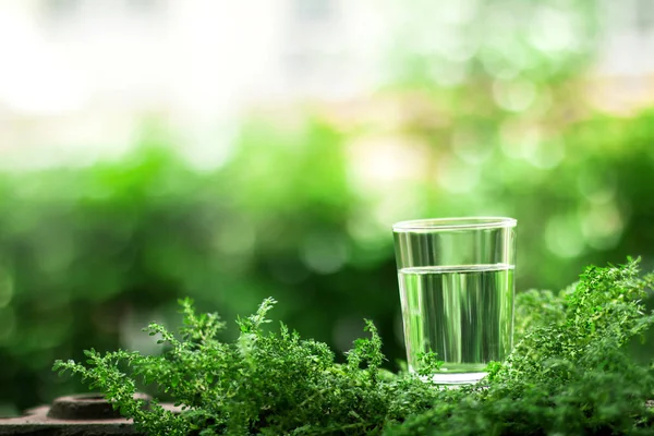 Склянка прохолодної прісної води на природному зеленому фоні — стокове фото