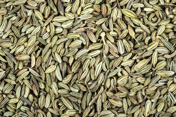 Detailní záběr na pozadí textury semen fenyklu — Stock fotografie