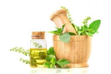 Reyhan ve uçucu yağ ile ahşap harç sıcak fesleğen , 