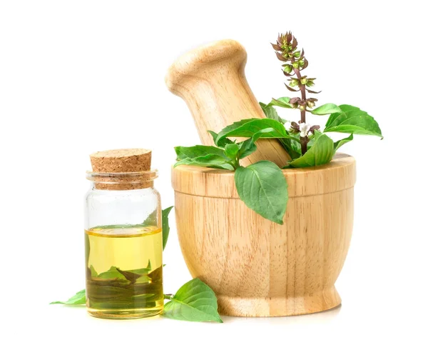Basil in wooden mortar with essential oil , alternative herbal — Stock Photo, Image