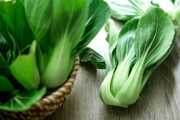 Chiudere il fresco bambino verde bok choy — Foto Stock