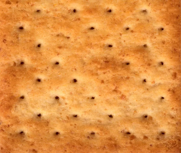 Cierre la galleta sana de trigo entero sobre fondo blanco — Foto de Stock