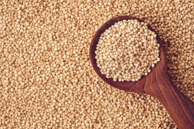 Bir beyaz quinoa tohumları, gluten ücretsiz superfoods ile hig kapatın