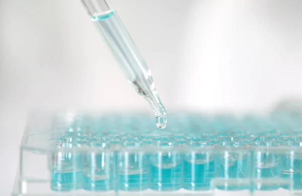 Close up a scientist working in laboratory to analyze blue extra