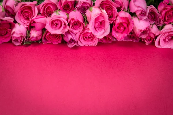 La frontera de Hermosa rosa rosada dulce fresca para el amor romántico —  Fotos de Stock