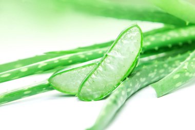 Beyaz arka planda dilimlenmiş ve taze aloe vera yaprağı, bir natur.