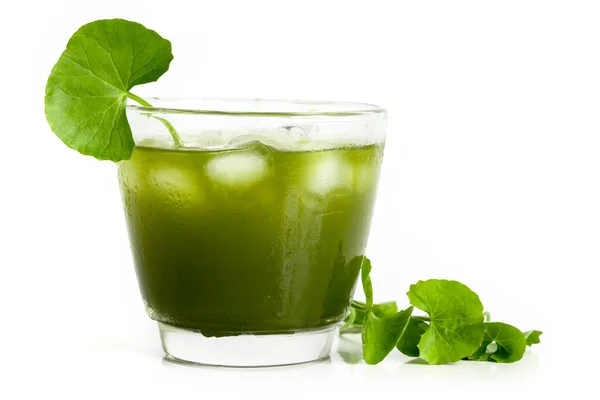 Gotu kola verde fresco, hoja Centella asiatica y jugo en blanco. —  Fotos de Stock