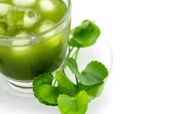 Fresco verde Gotu kola, Centella asiatica foglia e succo su bianco Foto Stock