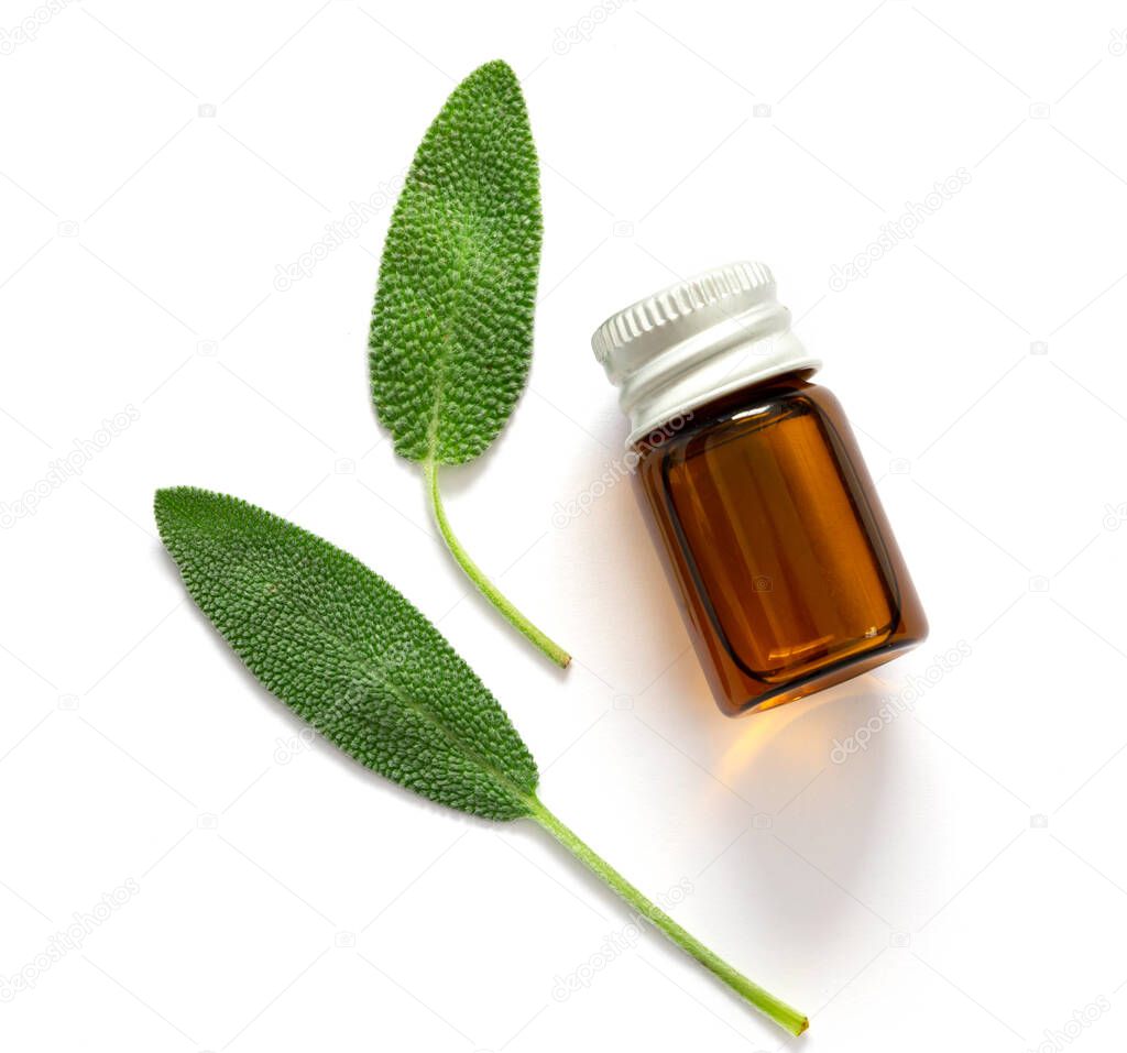 Close up fresh green sage herb leaf with a bottle of essential o