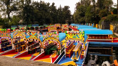 Coloridas trajineras (botes) reunidas en espera de los turistas para navegar por los canales de Xochimilco en medio de los arboles y la veacin.