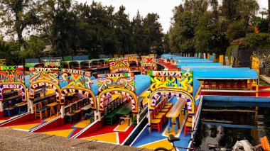 Coloridas trajineras (botes) reunidas en espera de los turistas para navegar por los canales fluviales de Xochimilco en medio de los arboles y la vegetacin. clipart
