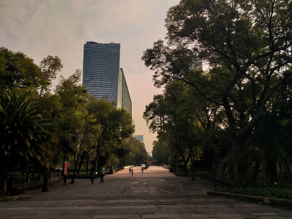 Vista Panormica Salida Del Parque Rodeado Muchos Rboles Personas Caminando — стокове фото