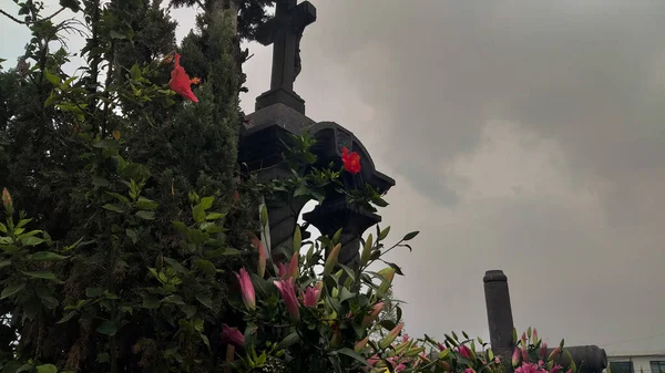 Túmulo Com Cruzes Decoradas Com Plantas Flores Dia Nublado Triste — Fotografia de Stock