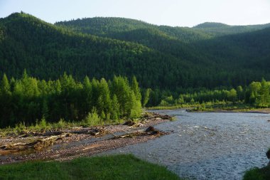 Sibirya 'daki güzel dağ nehri