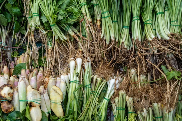 All kinds of asian greens on a market in Bangkok — Stock Photo, Image