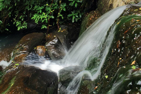 Schöne Vattakanal Wasserfälle Levinge Stream Eine Der Touristenattraktionen Des Kodaikanal — Stockfoto