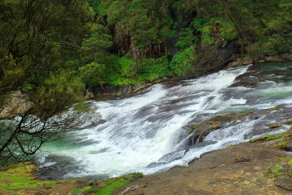 Pykara Waterfalls Surrounded Lush Green Forest Ooty Hill Station Tamilnadu — Stock Photo, Image