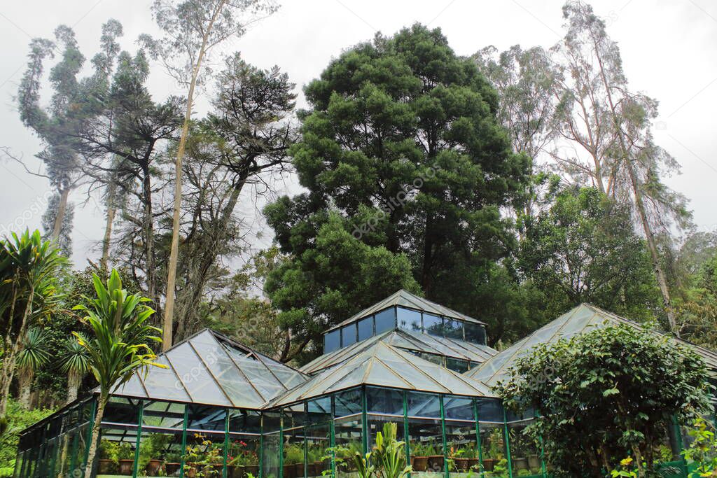 green house at bryant park, famous tourist attraction of kodaikanal hill station in tamilnadu, south india