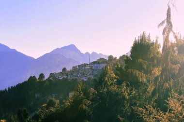 Hindistan 'ın kuzeydoğusundaki Arunachal Pradesh' te Himalaya eteklerindeki çam ormanının ünlü Tawang Manastırı manzarası.
