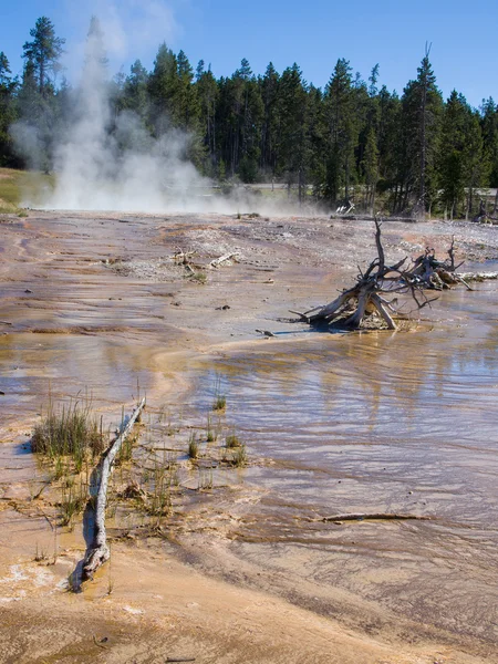 Sár és gejzír a Yellowstone — Stock Fotó
