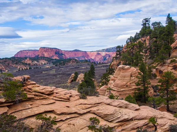 Uğursuzluk, Zion National park — Stok fotoğraf