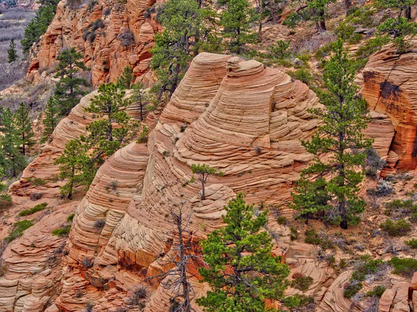 Uğursuzluk, Zion National park — Stok fotoğraf