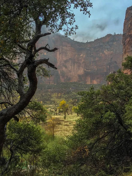 Fırtına Zion National Park içine geliyor — Stok fotoğraf