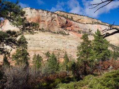 Renkli manzara arka plan