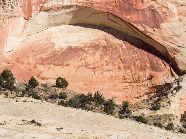 Renkli manzara arka plan