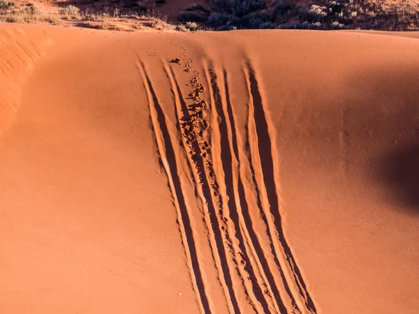 Dune di sabbia nel parco statale delle dune di sabbia rosa corallo — Foto Stock