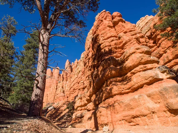 Red rock canyon peyzaj — Stok fotoğraf