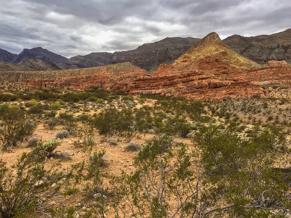 Under the grey sky, Valley of Fire — Stock Photo, Image