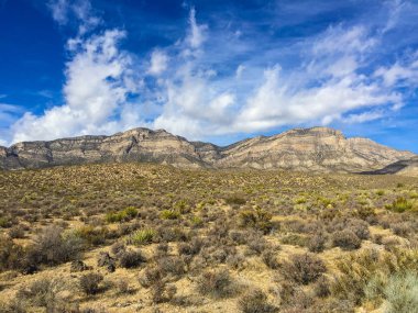Red Rock Canyon Las Vegas yakınlarında
