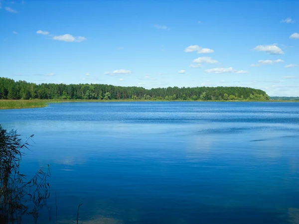 Μπλε Λίμνη Και Πράσινο Δάσος Ηλιόλουστη Μέρα — Φωτογραφία Αρχείου