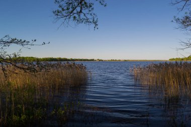 Akşam gölde, gün batımından sonra.