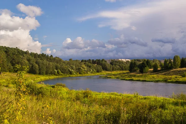 Flod Skogen — Stockfoto