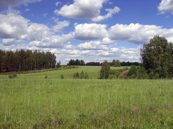 Krajobraz Wiejski Zielonym Polem Błękitnym Niebem Chmurami Obrazy Stockowe bez tantiem