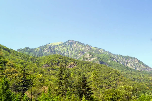 Paisagem Montanha Verão Ensolarado Encosta Verde — Fotografia de Stock